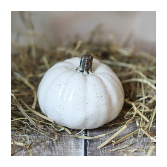 Ceramic Autumn Pumpkin