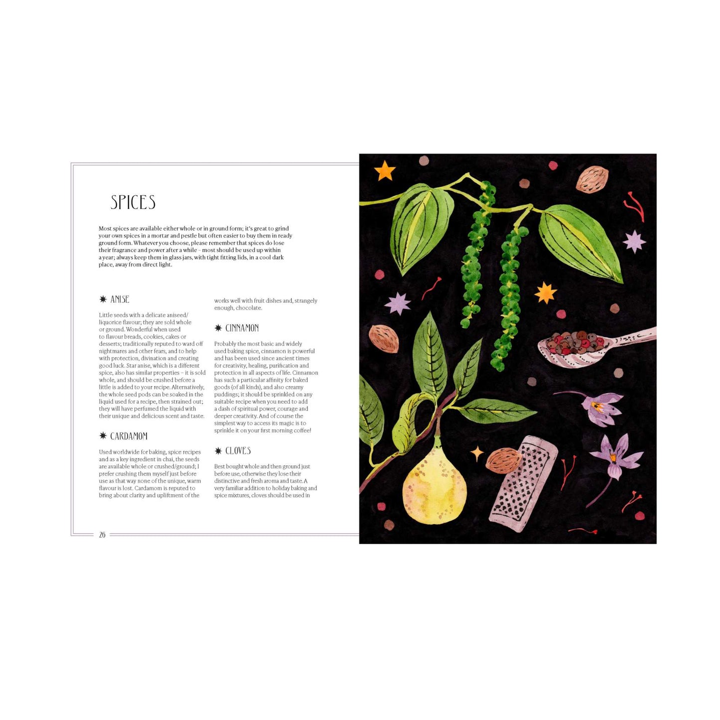The Kitchen Witch by Gail Bussi
