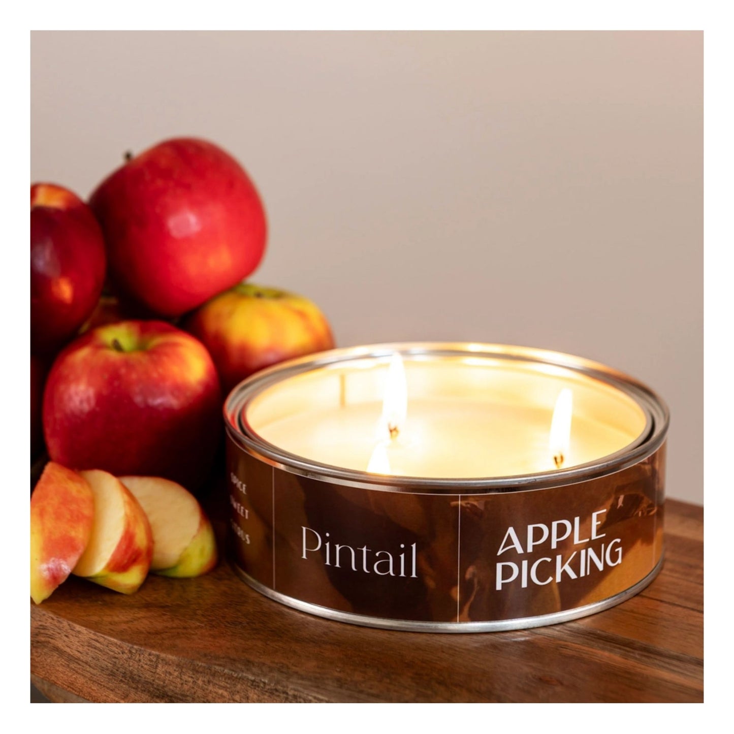 Apple Picking Triple Wick Paint Pot Candle