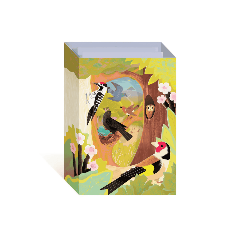 UK Birds Pop Up Greeting Card