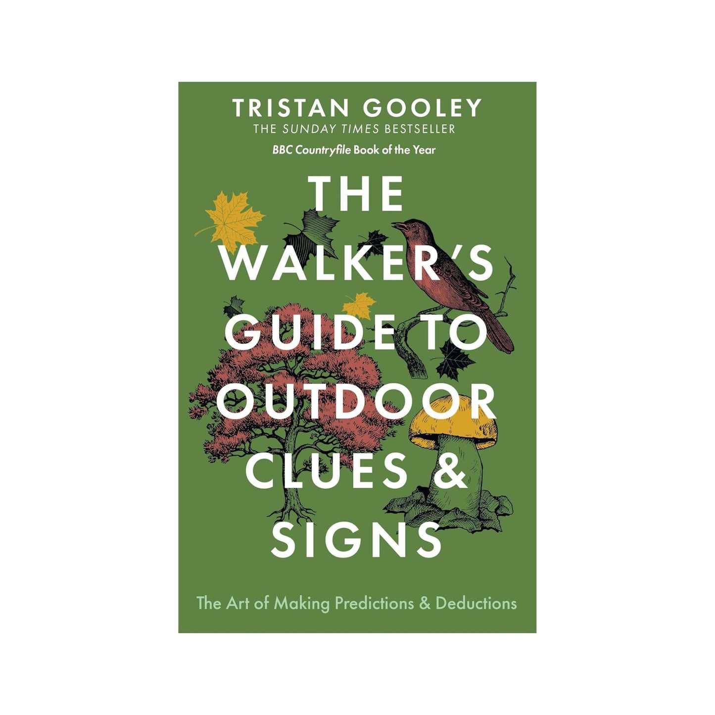 Walkers Guide to Outdoor Clues and Signs