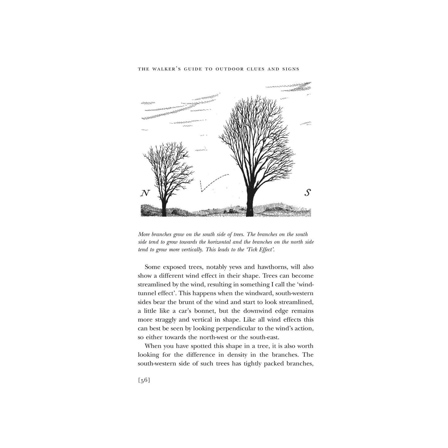 Walkers Guide to Outdoor Clues and Signs