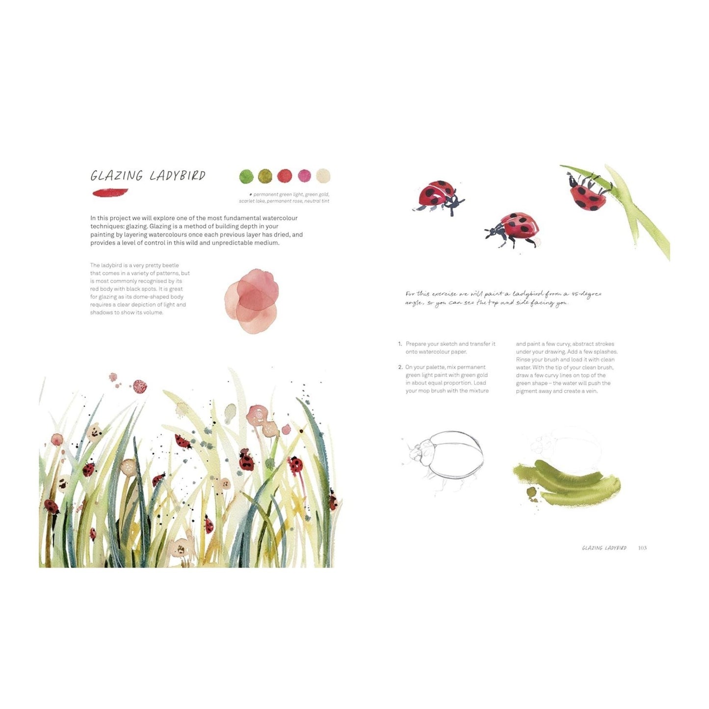 Wild Watercolour Book