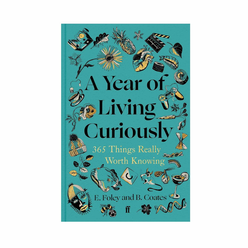A Year of Living Curiously