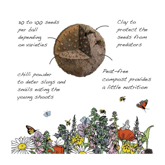 Seedball Meadow Pot - Butterfly Mix