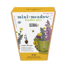  Seedball Meadow Pot - Bee Mix