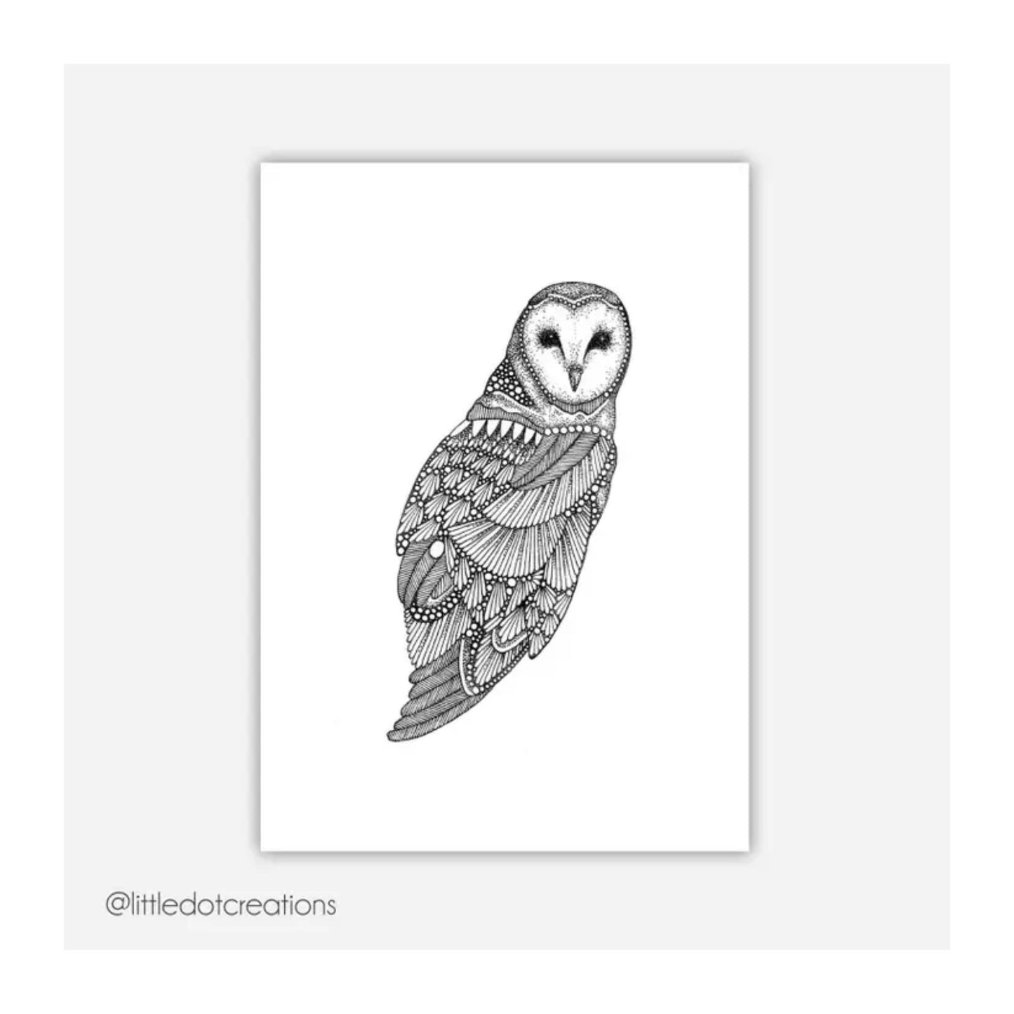 Barn Owl Print