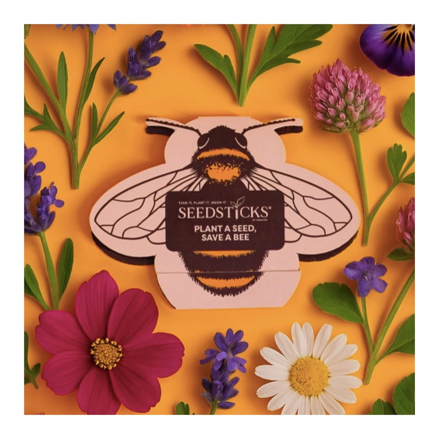 Bee Seedsticks