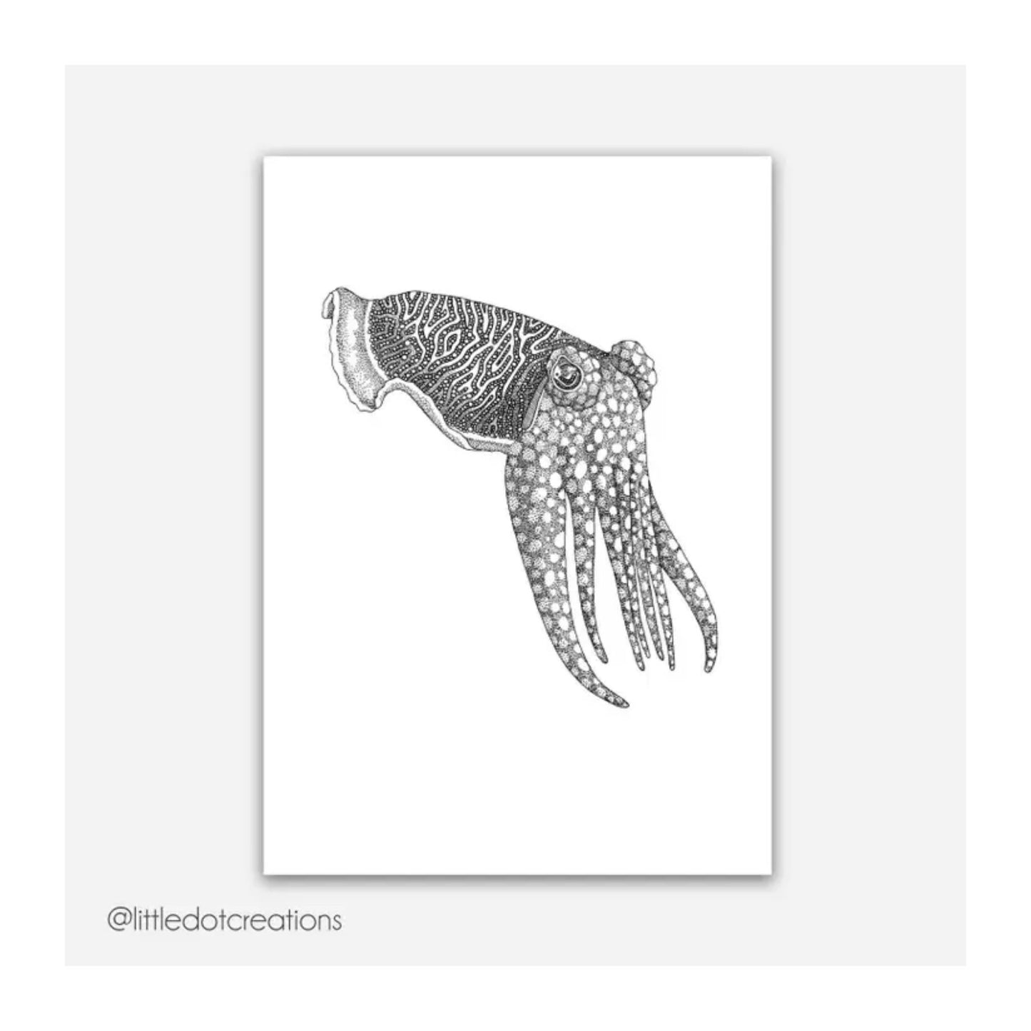 Cuttlefish Print