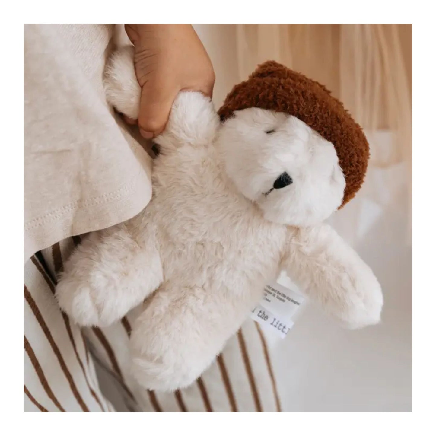 Freddie Bear Soft Toy