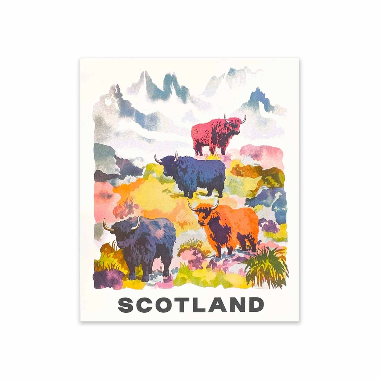 Highland Cows Print