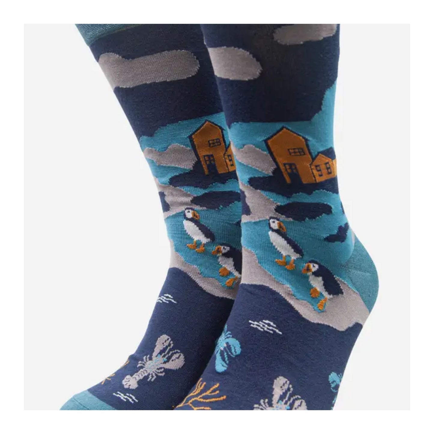 Teal Puffin Coast Socks