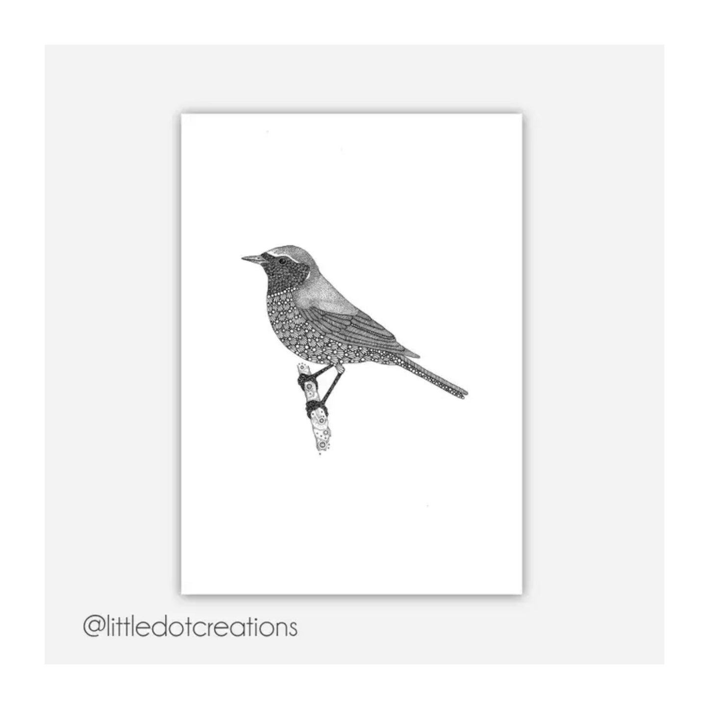 Redstart Print