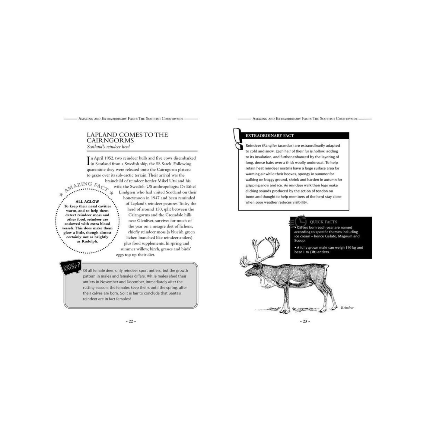 Amazing and Extraordinary Facts - The Scottish Countryside