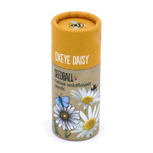  Oxeye Daisy - Wildflower Seedball Tubes