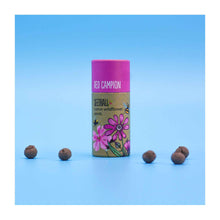  Red Campion - Wildflower Seedball Tubes