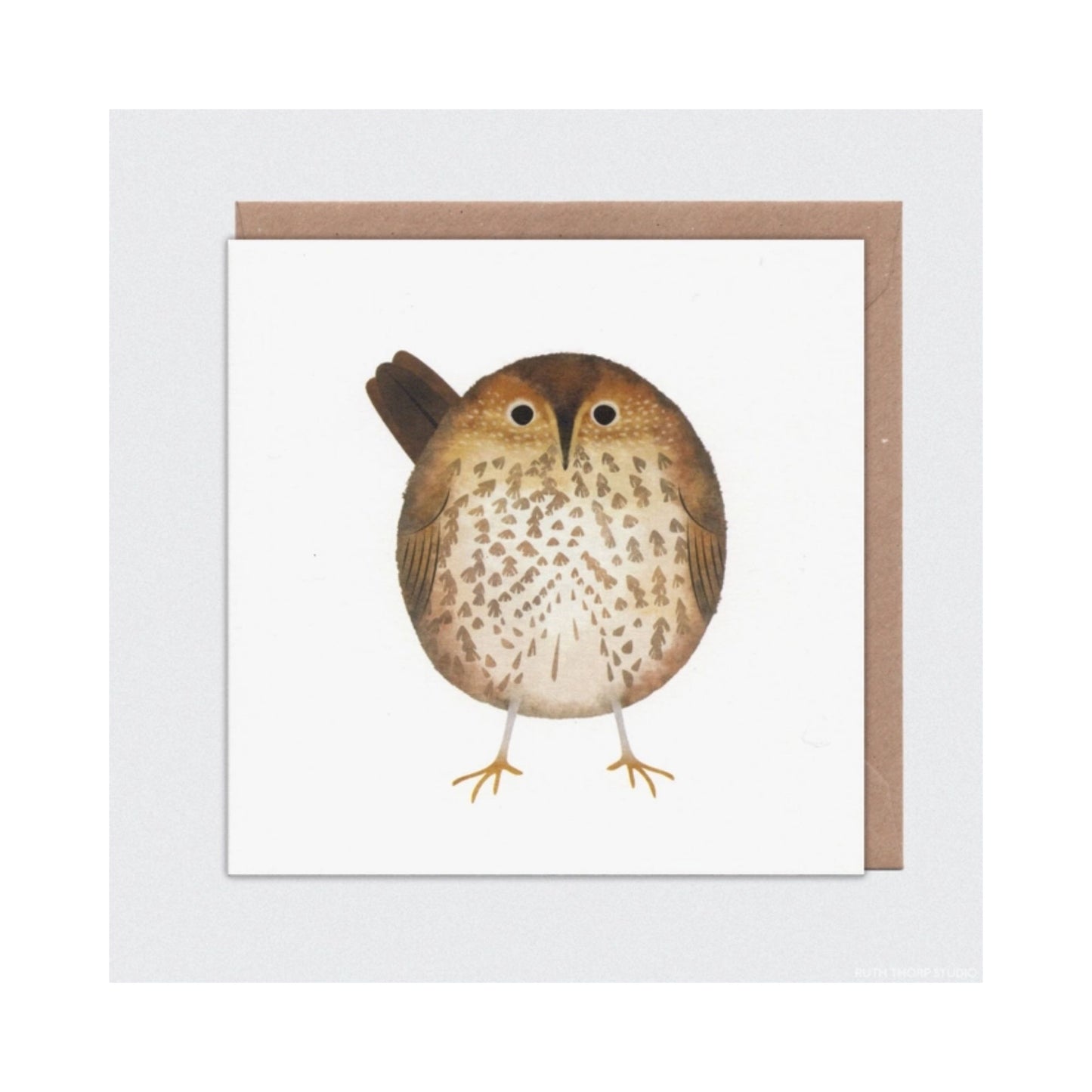 Song Thrush Card