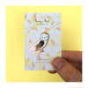 Barn Owl Pin