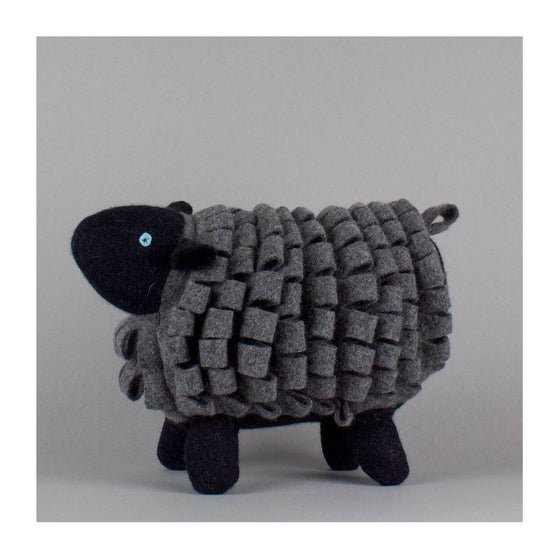 Black Welsh Mountain Sheep