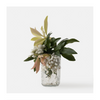 Jam Jar Candle - Moss