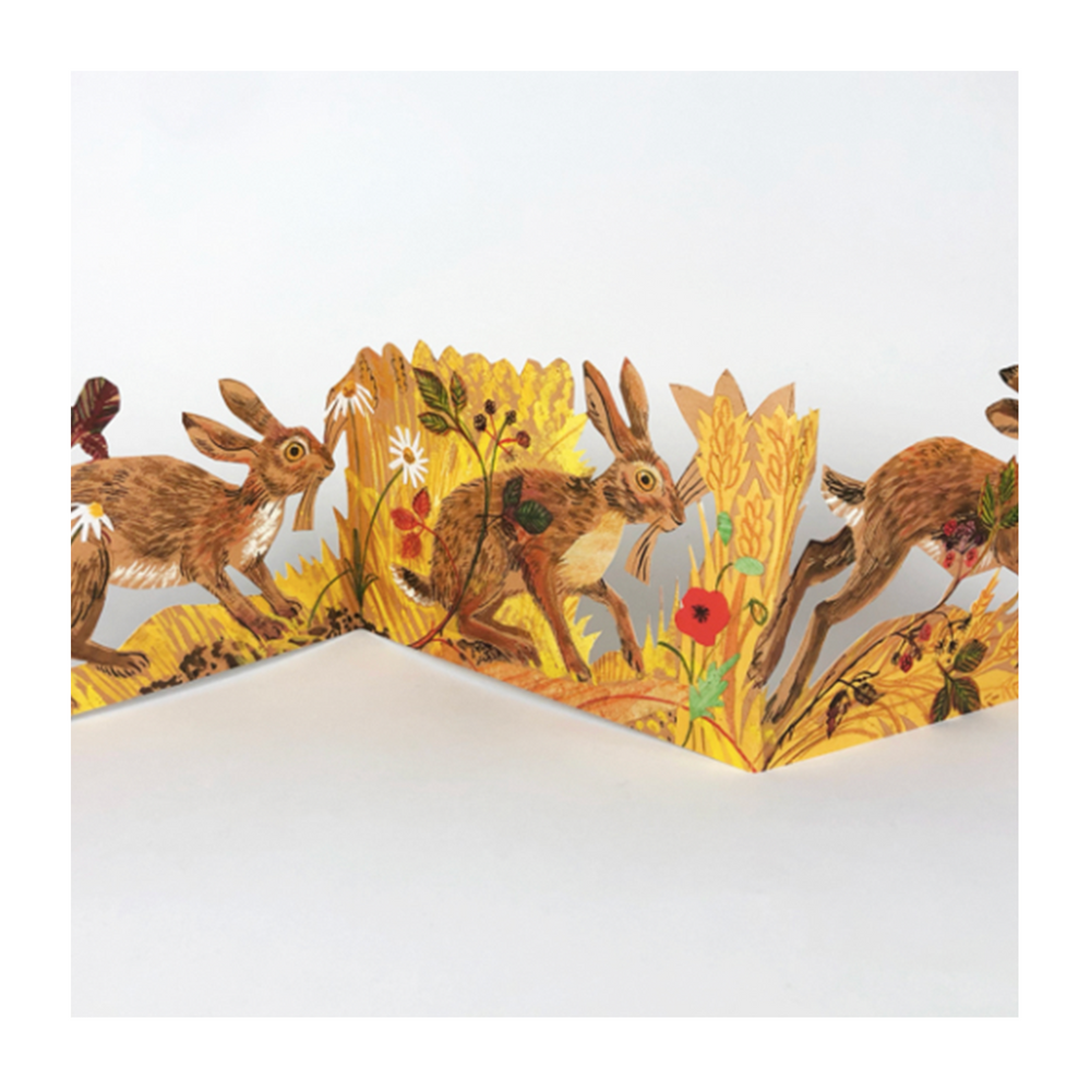 Fold Out Hares Card