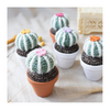 Medium Crocheted Cactus