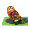 Pop-Out Tawny Owl