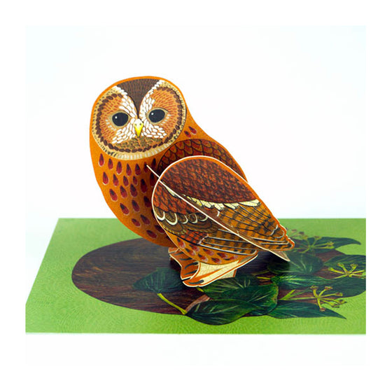 Pop-Out Tawny Owl