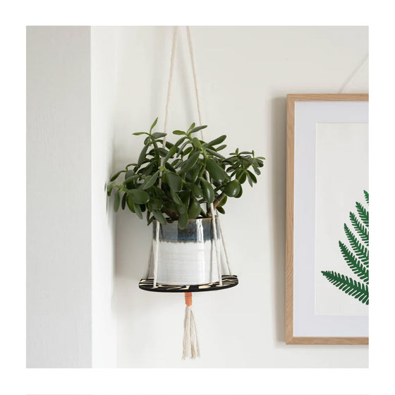 Hanging Plant Shelf