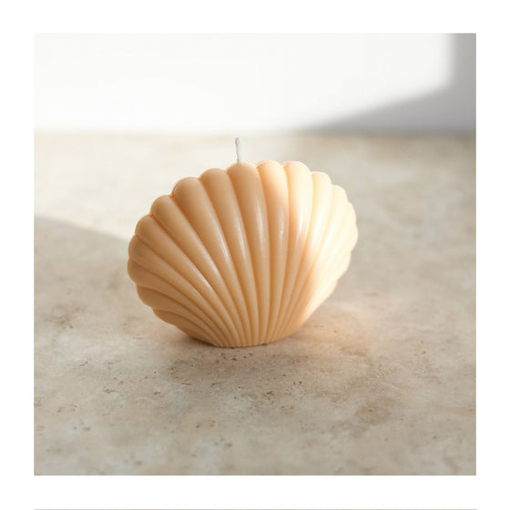 2023 SAMPLE SALE Shell Candles