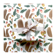  Squirrel Gift Wrap