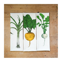  Garden Vegetable Tea Towel Gift Set