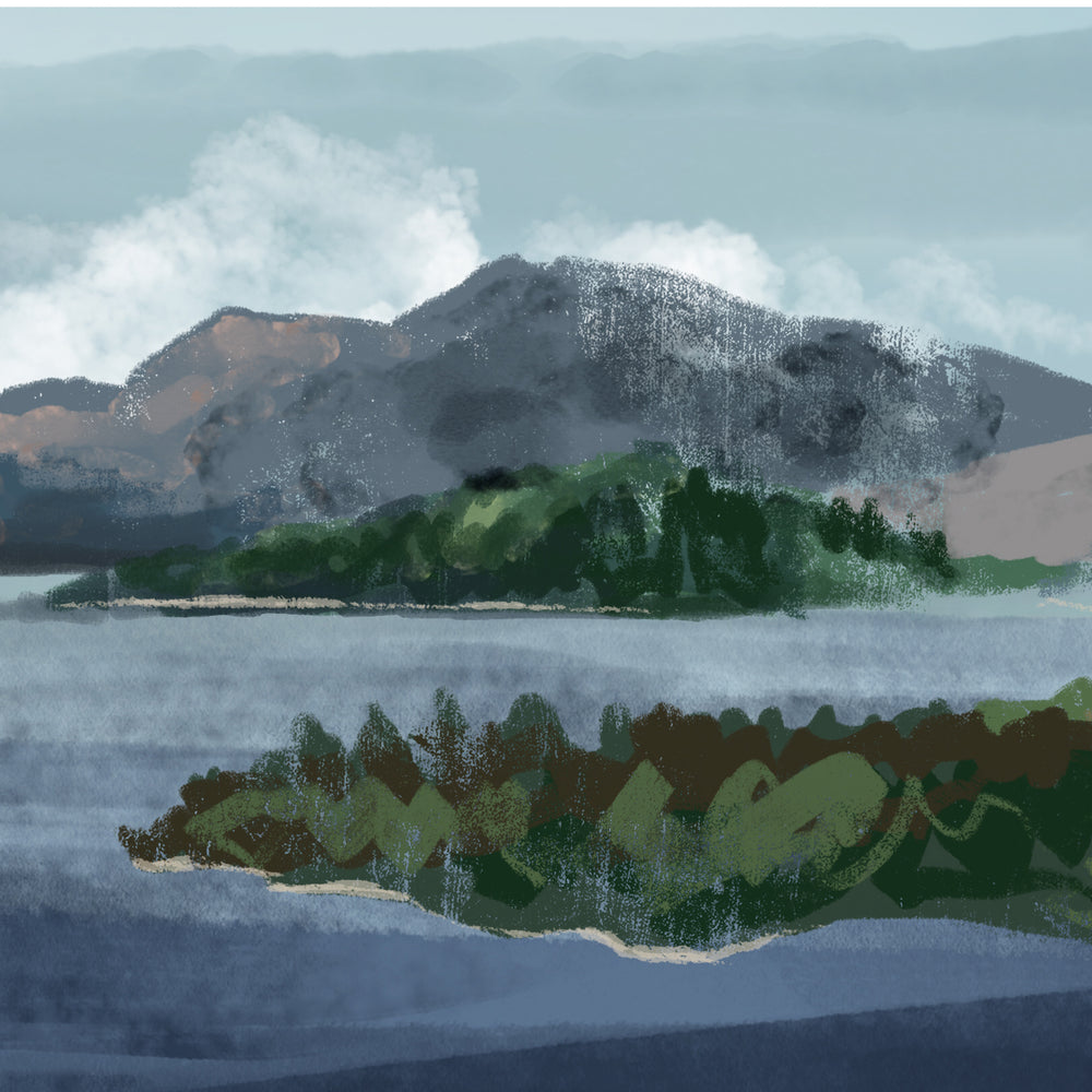 
                  
                    Loch Lomond Lampshade
                  
                