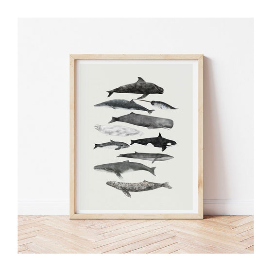 Whales Print