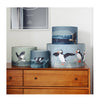 Sanderling Drum Lampshade