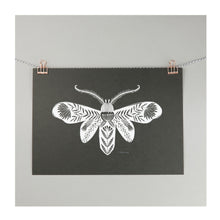  Folk Moth Print