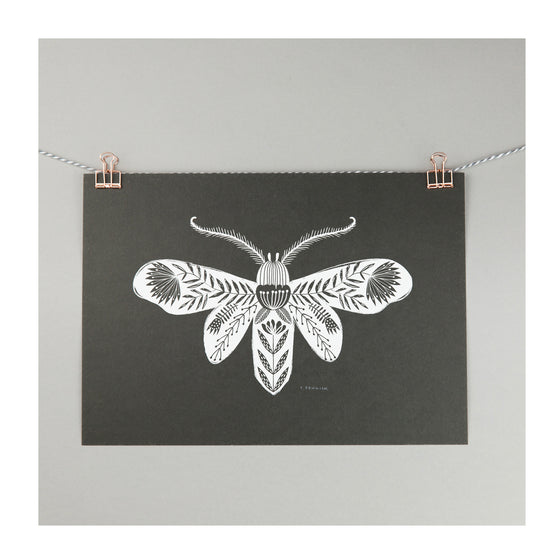 Folk Moth Print