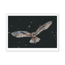  Owl Print