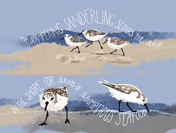 
                  
                    Sanderling Lamp - Table
                  
                