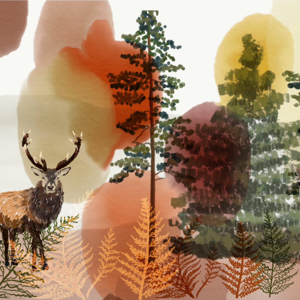 
                  
                    An illustrated lampshade featuring a woodland scene with stags by Tori Gray / Harbour Lane Studio
                  
                