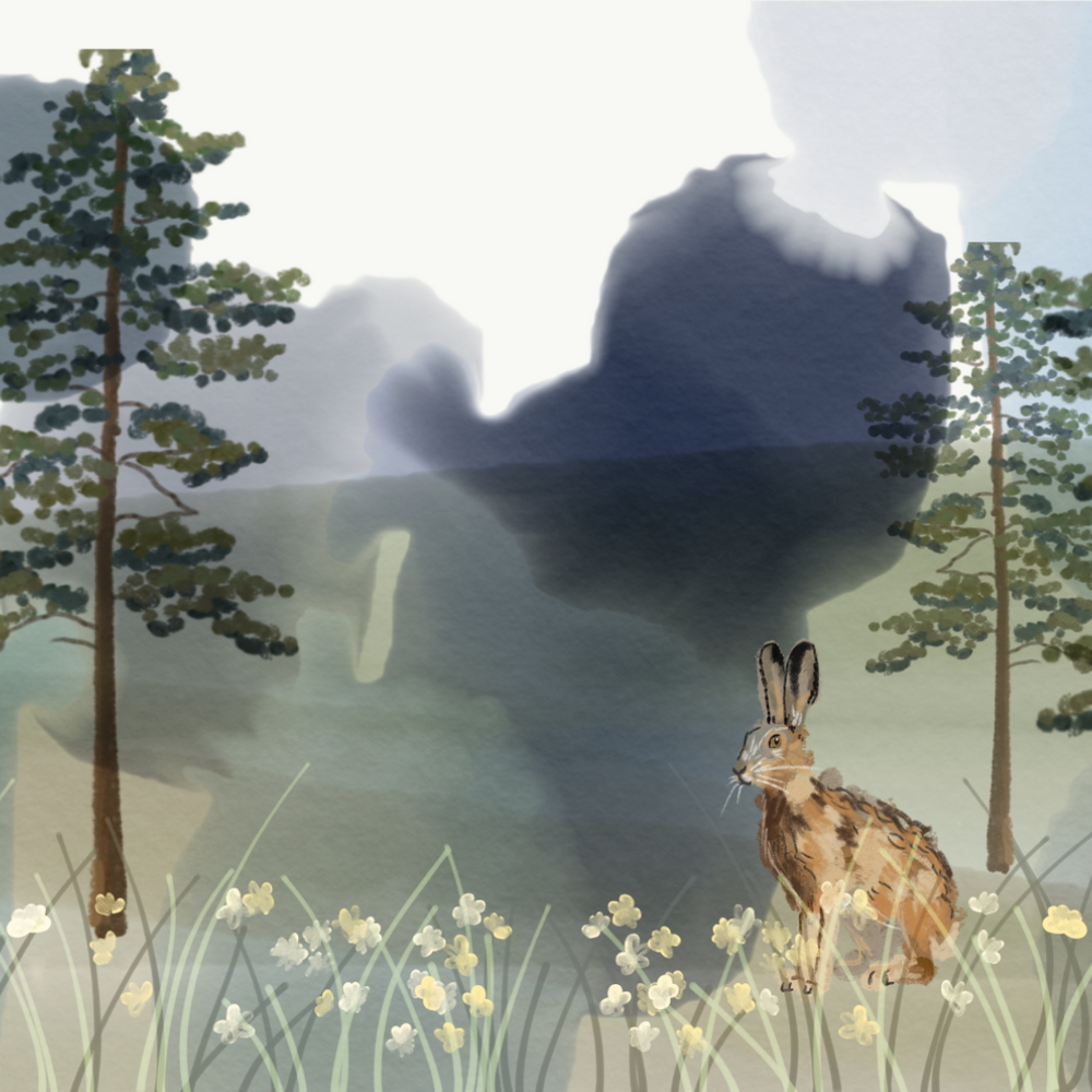 
                  
                    Woodland Hare Lampshade
                  
                